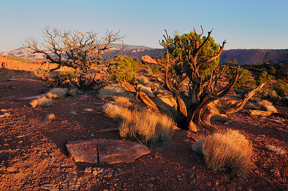 Capitol Reef NP