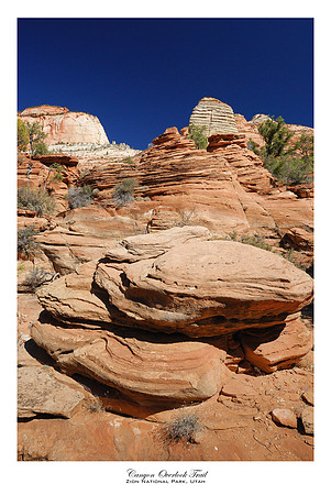 Canyon Overlook Trail, Zion National Park