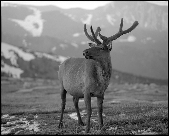 Rocky Mountain National Park, Colorado