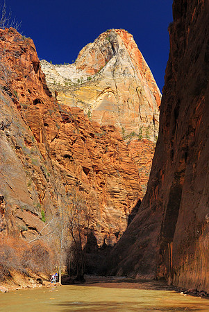 Virgin River, Zion National Park
