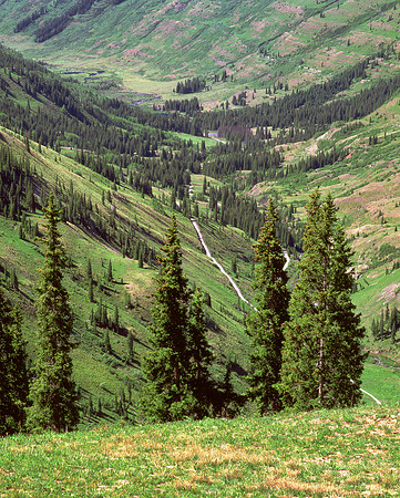 Slate River Valley from Paradise Divide, Crested Butte, Colorado
