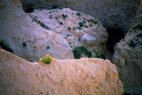 Pawnee National Grasslands, Colorado (2010)