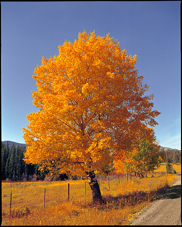 Routt County, Colorado