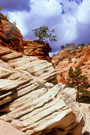 Zion National Park