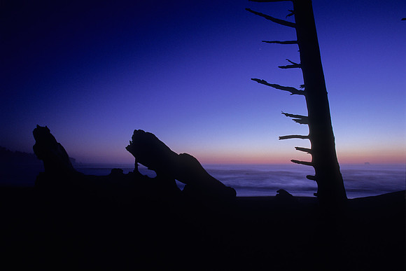 Rialto Beach, Olympic National Park, Washington (2011)