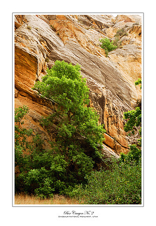 Box Canyon No2, Dinosaur National Monument