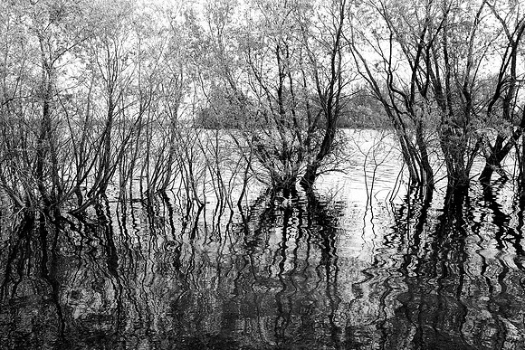 Fort Collins, Colorado-Fossil Lake Reservoir, no.1