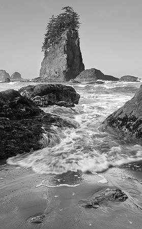 Olympic National Park, Washington