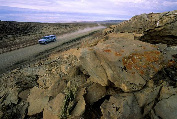 Red Desert