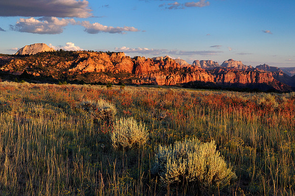 Kolob Terrace, Zion National Park