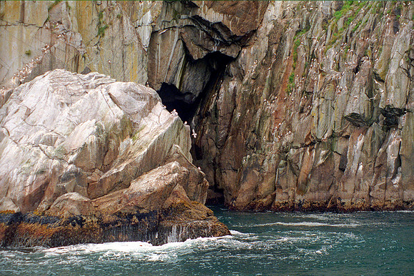 Kenai Fjords National Park-Seward, Alaska