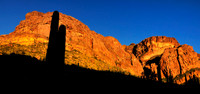 Organ Pipe Cactus National Monument