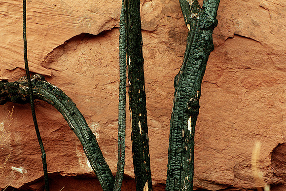 Potash, Utah