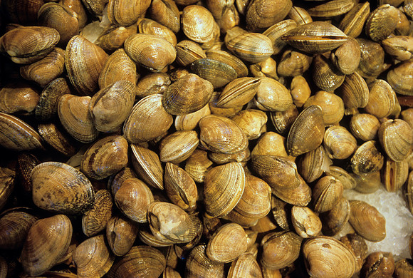 Pike Street Market Clams, Seattle, Washington (2011)