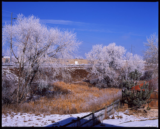 Fort Collins, Colorado