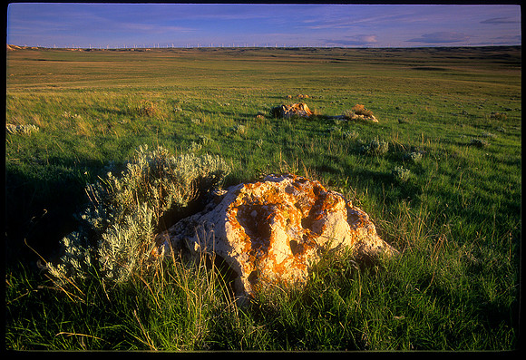 Pawnee National Grasslands, Colorado (2010)