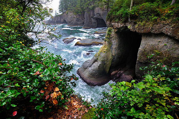 Cape Flattery, Olympic National Park, Washington