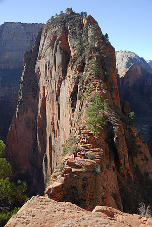 Hikers, Angel's Landing, Zion National Park