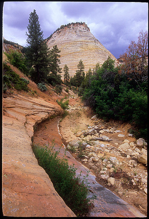 Checkerboard Mesa, Zion National Park, Utah (2008)