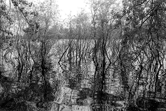 Fort Collins, Colorado-Fossil Lake Reservoir, no.2