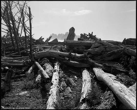 Rialto Beach, Olympic National Park, 2011
