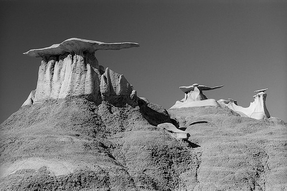 Bisti Wings, Bisti/De-Na-Zin Wilderness