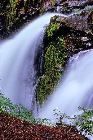 Sol Duc Falls, Olympic National Park, Washington (2011)