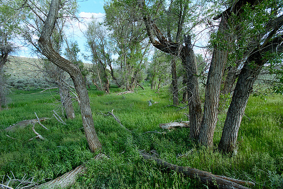 2 Road, Wyoming-Colorado State Line (2014)