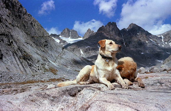 Best Friends No.2-Wind River Range
