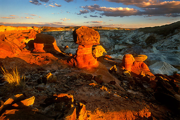 Toad Stools, Grand Staircase - Escalante National Monument, Utah